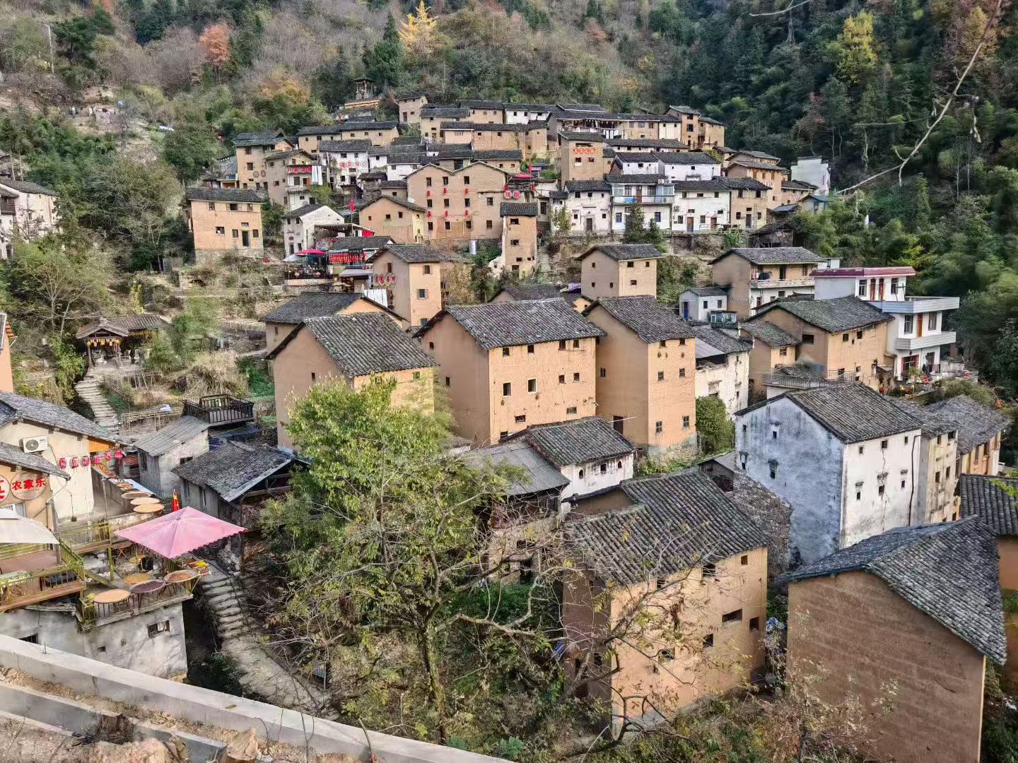 大美新安江 - 图片 4