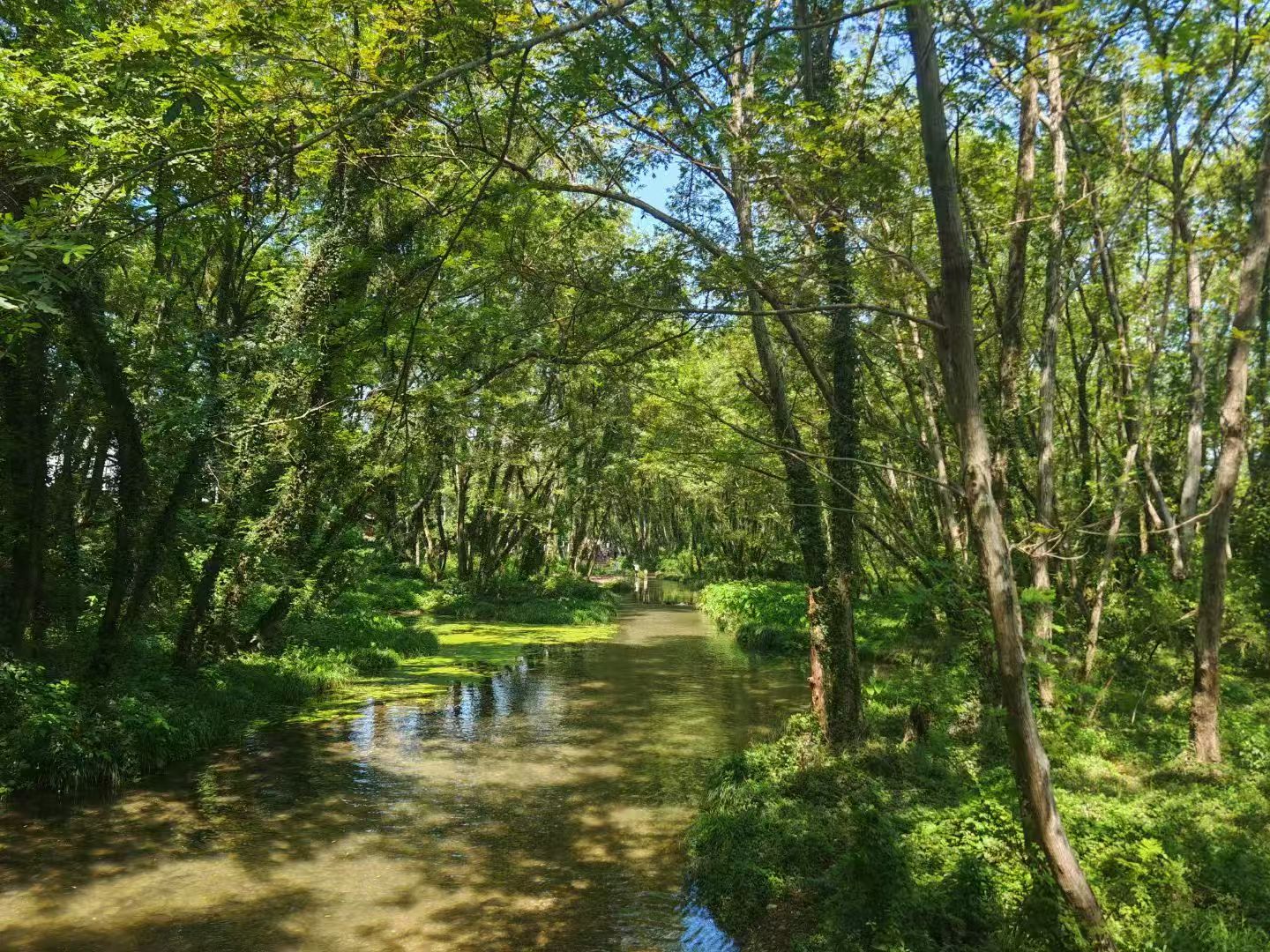 西溪南之绿野仙踪 - 图片 3