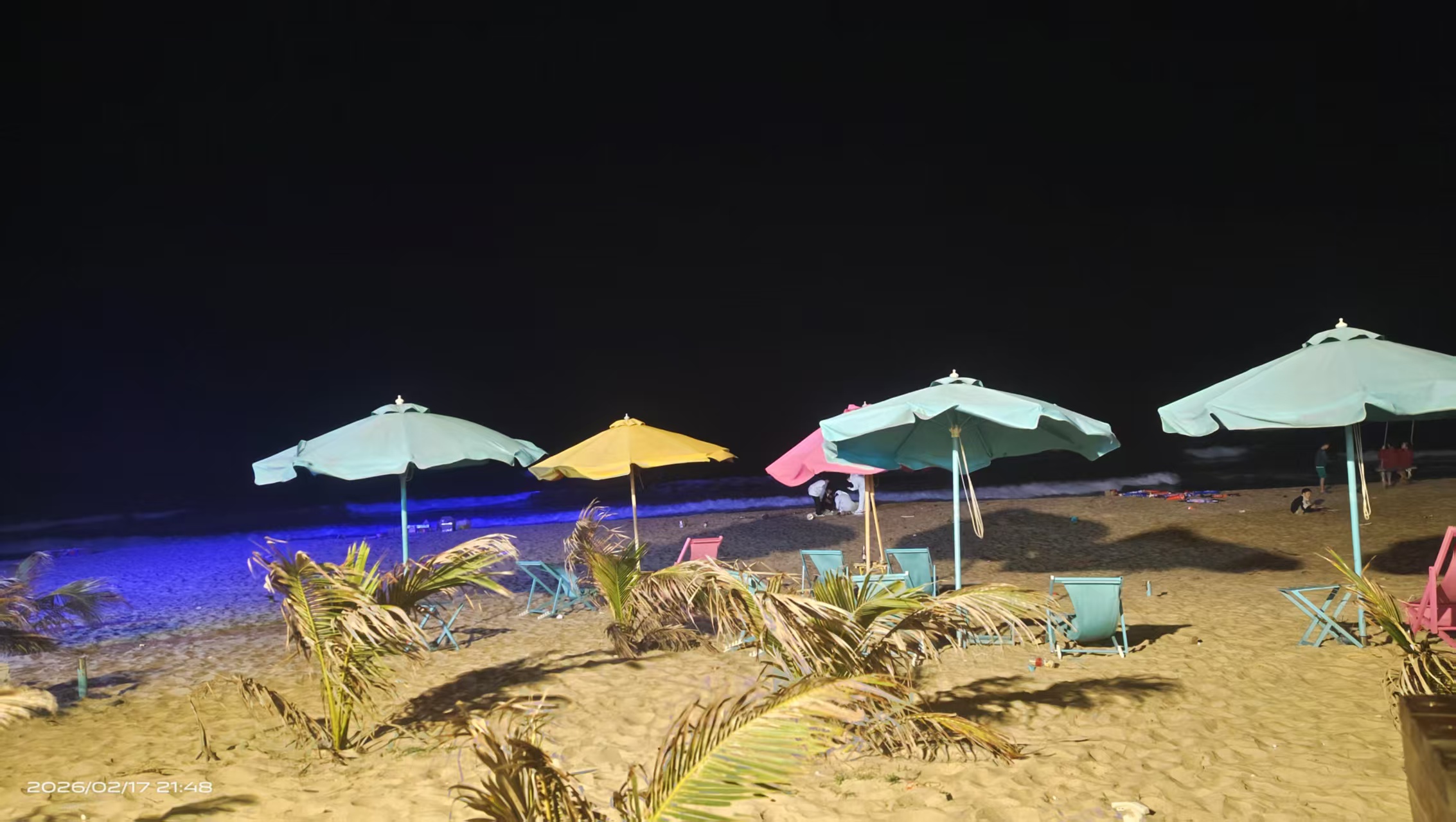 吴川之旅 - 图片 3