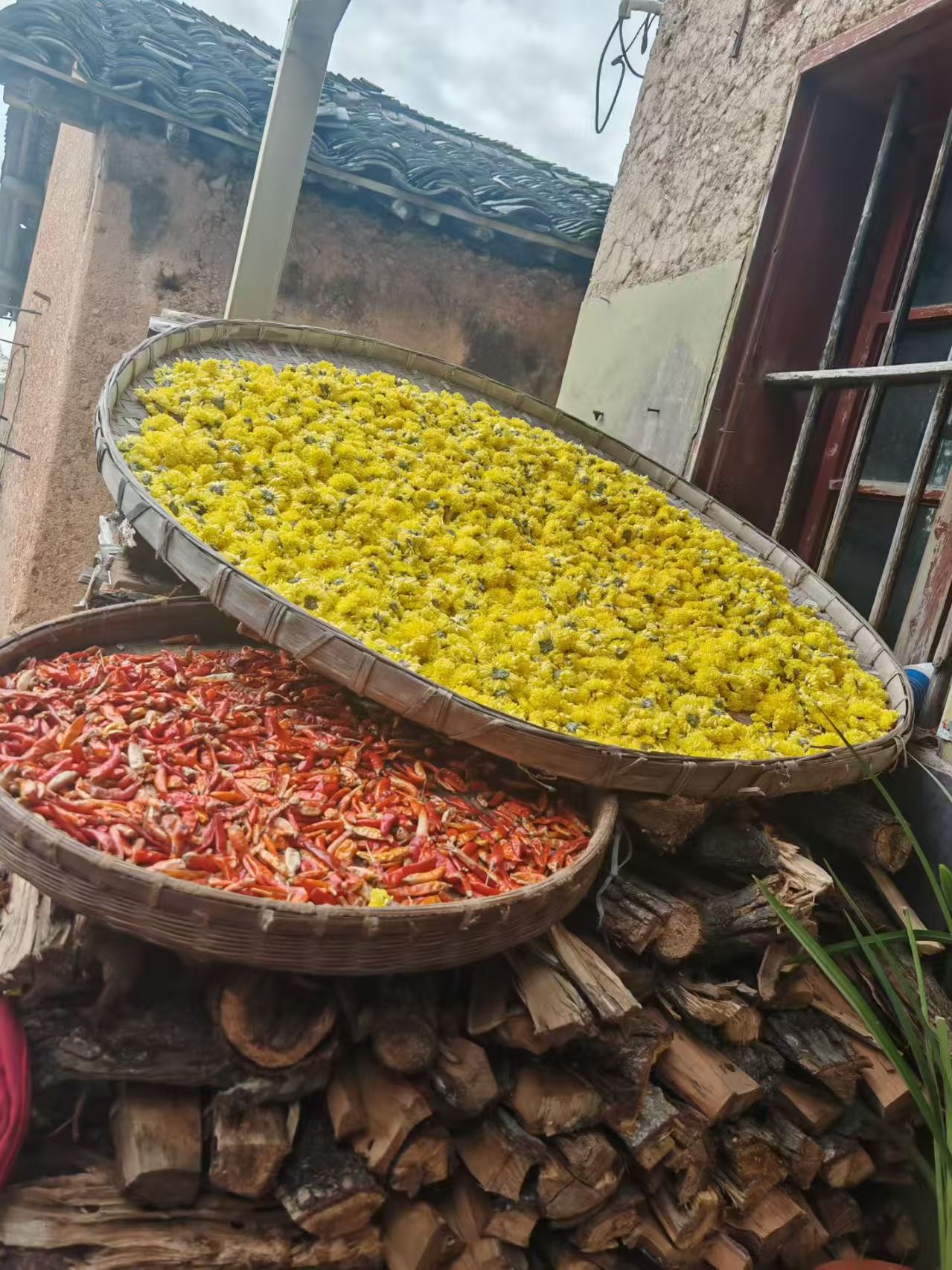 大美新安江 - 图片 6